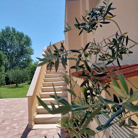 Novouredeni Apartman Marko Mundanije Екстер'єр фото